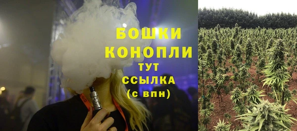 прущие крисы Михайловск