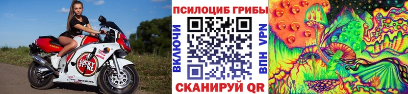 Купить где  Новосокольники  Псилоцибиновые грибы мухоморы 
