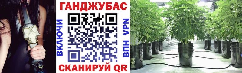 Канабис Ganja  Купить  Новосокольники 